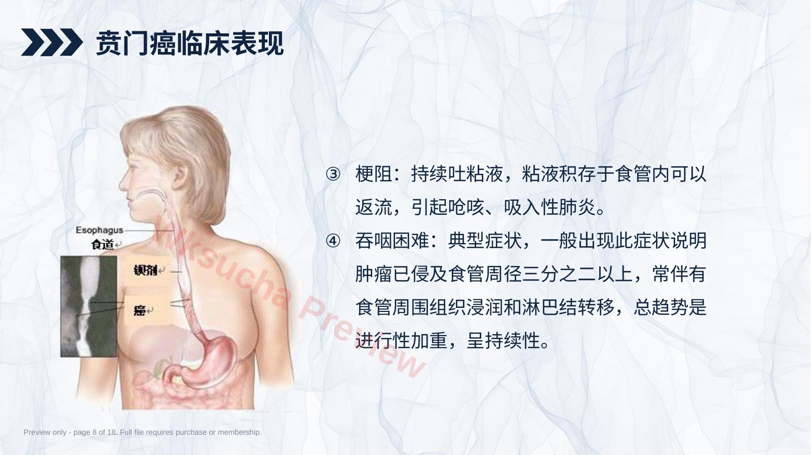 预览第 8 页