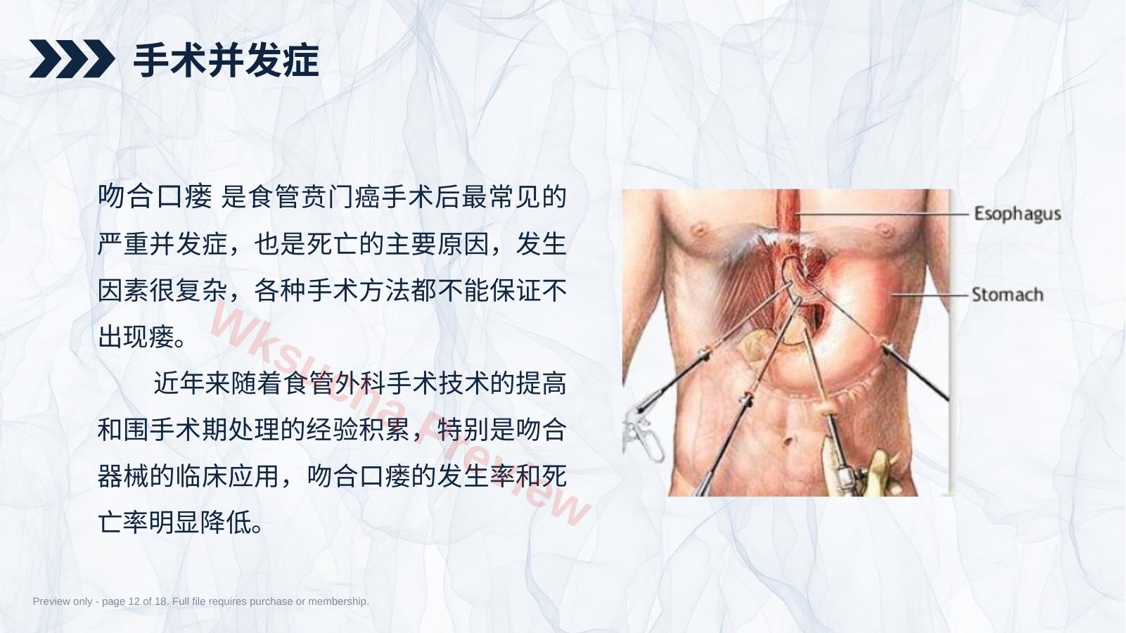 预览第 12 页