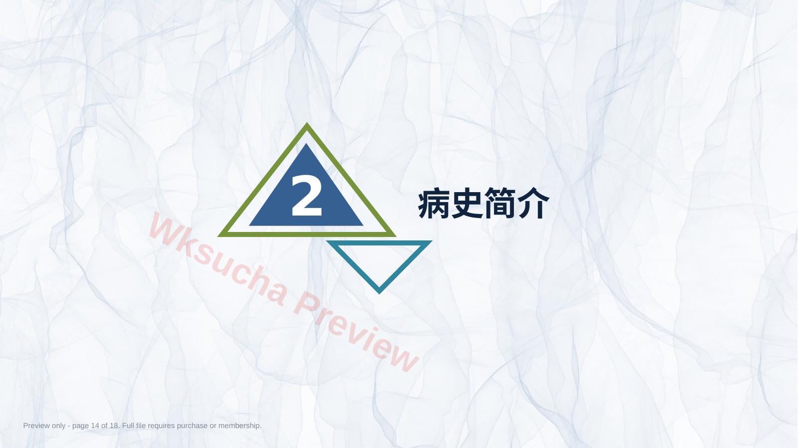 预览第 14 页