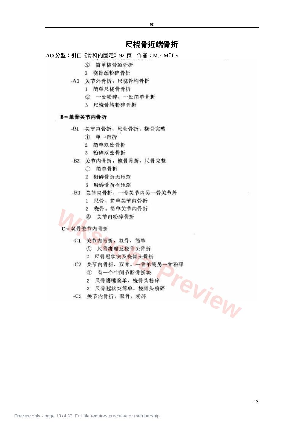 预览第 13 页