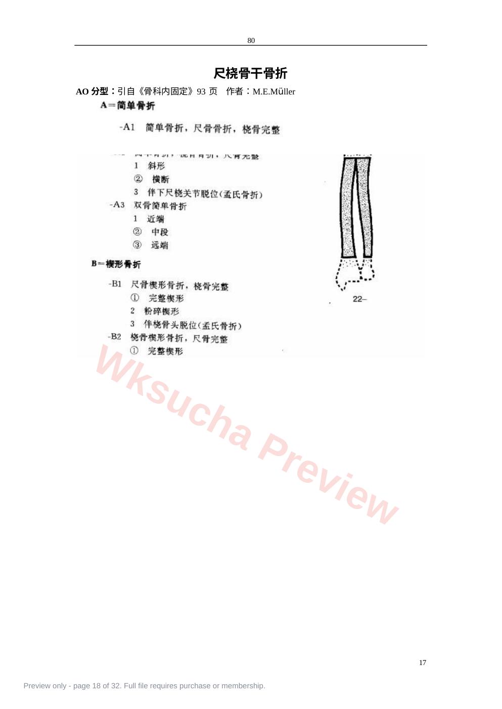 预览第 18 页