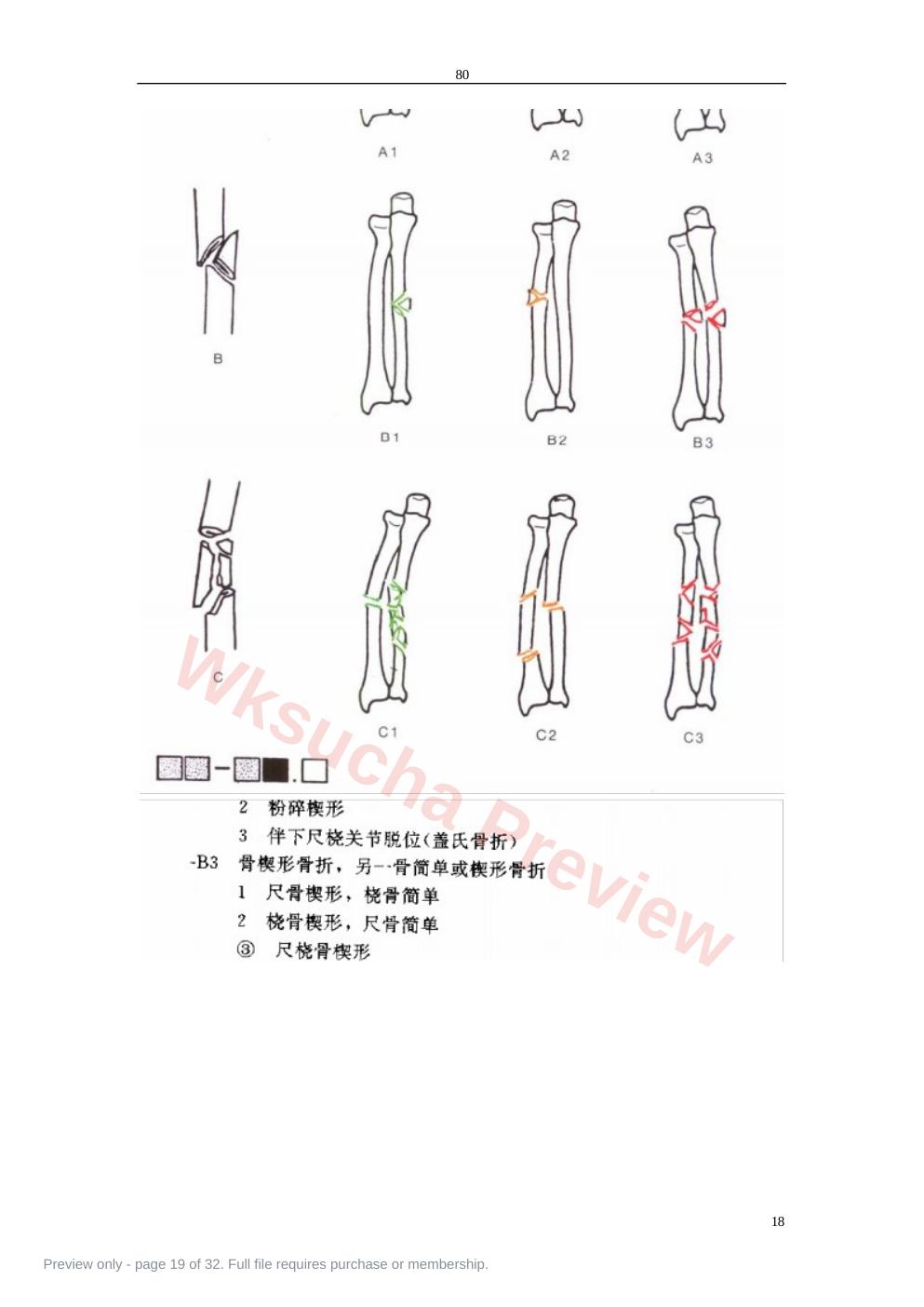 预览第 19 页
