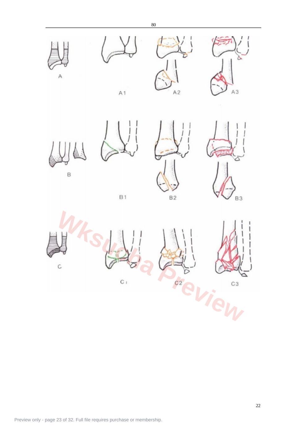 预览第 23 页