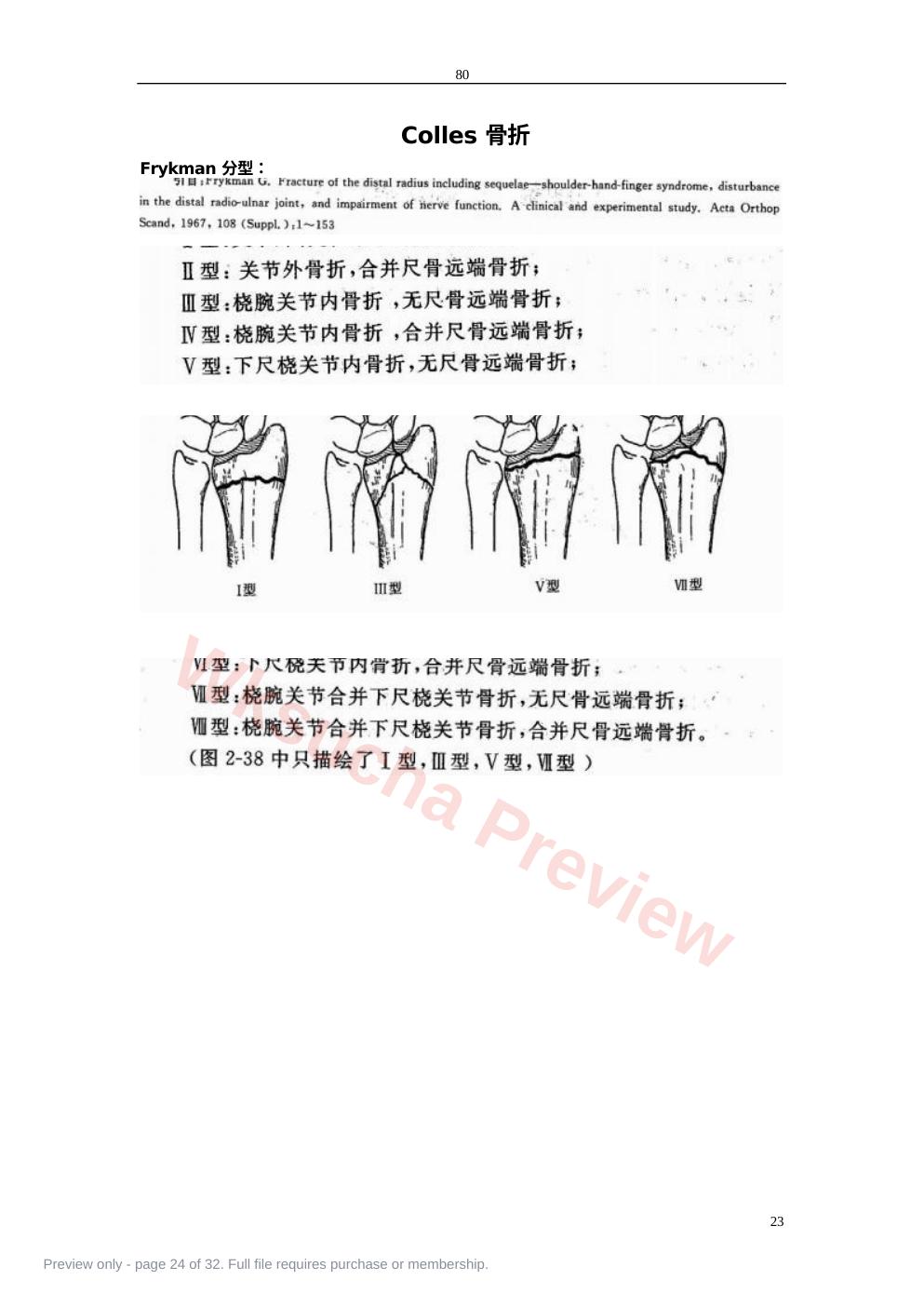 预览第 24 页
