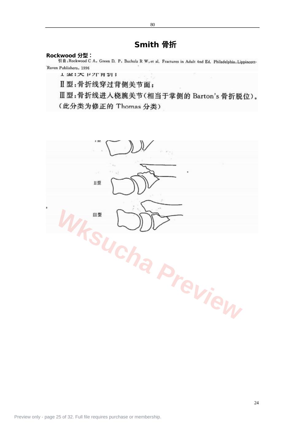 预览第 25 页