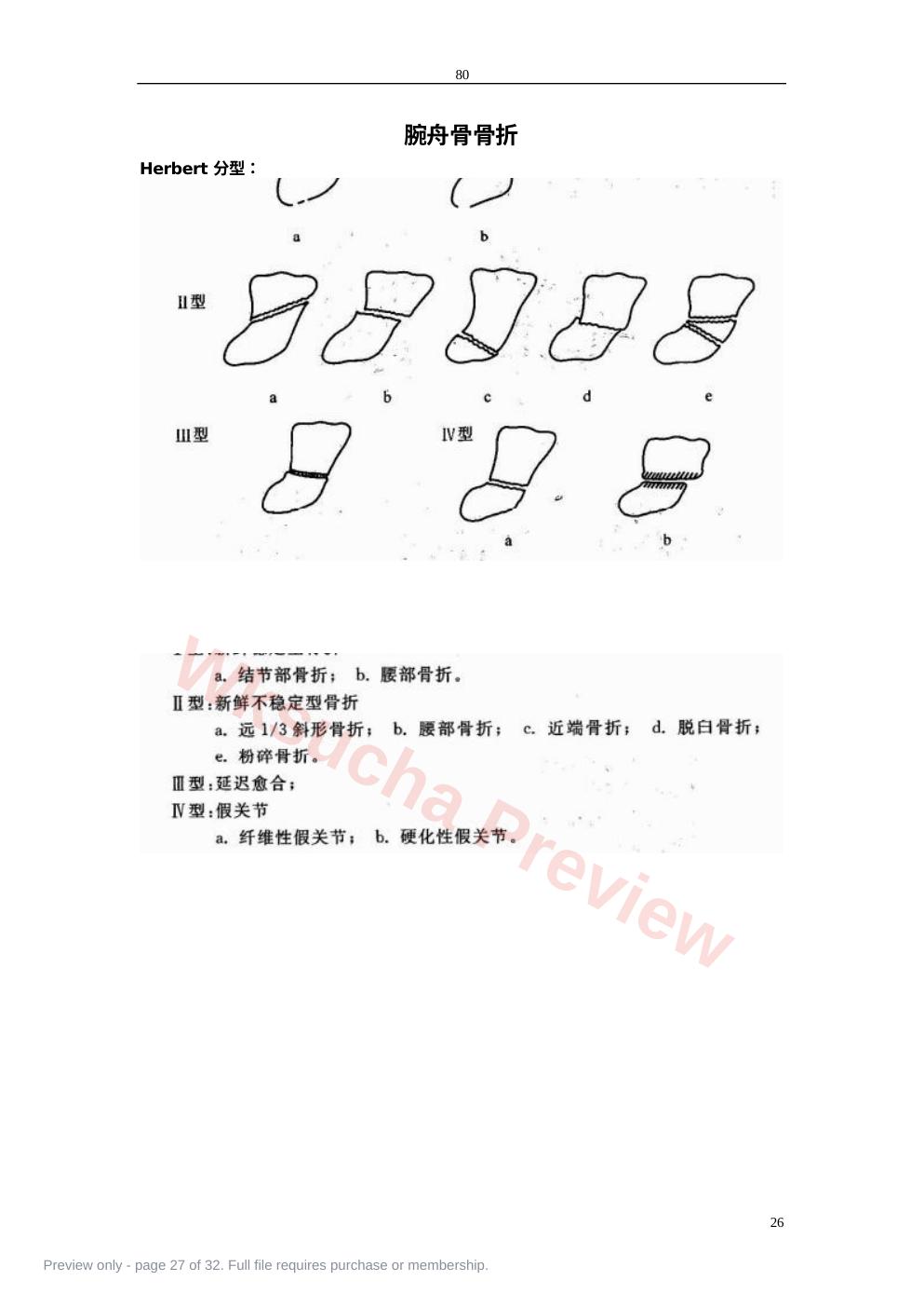 预览第 27 页