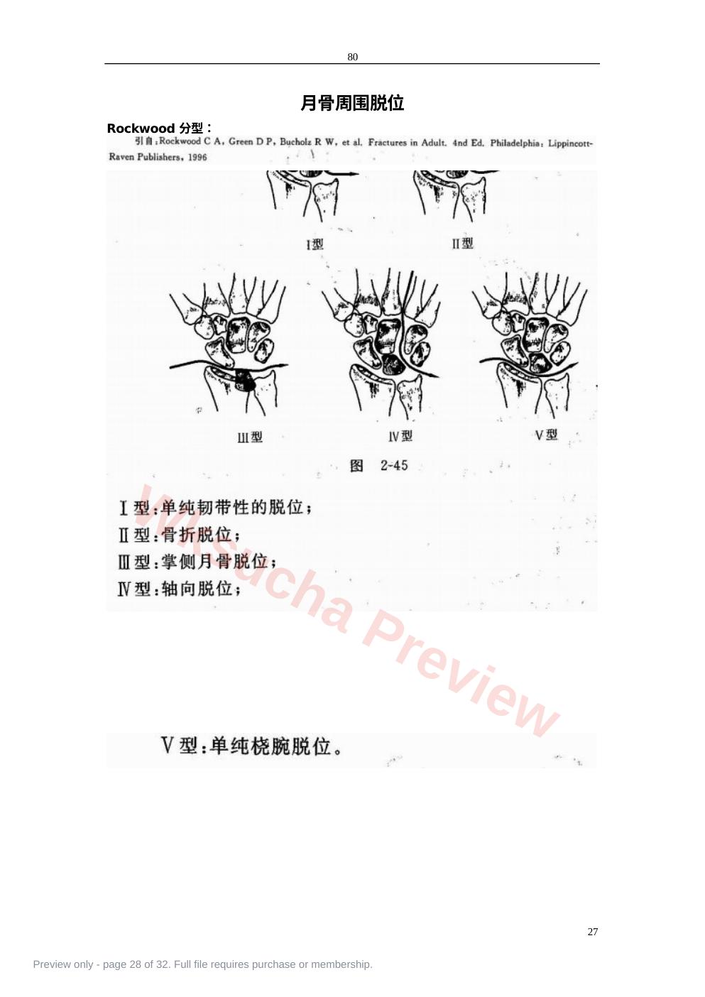 预览第 28 页