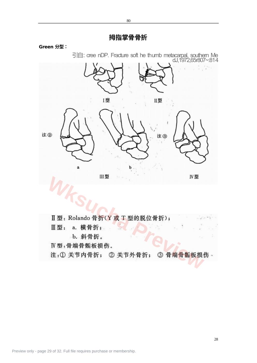 预览第 29 页