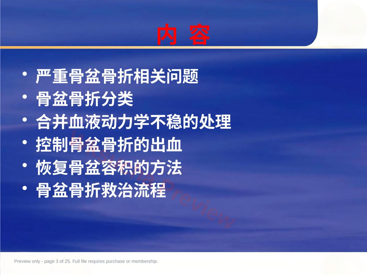 预览第 3 页