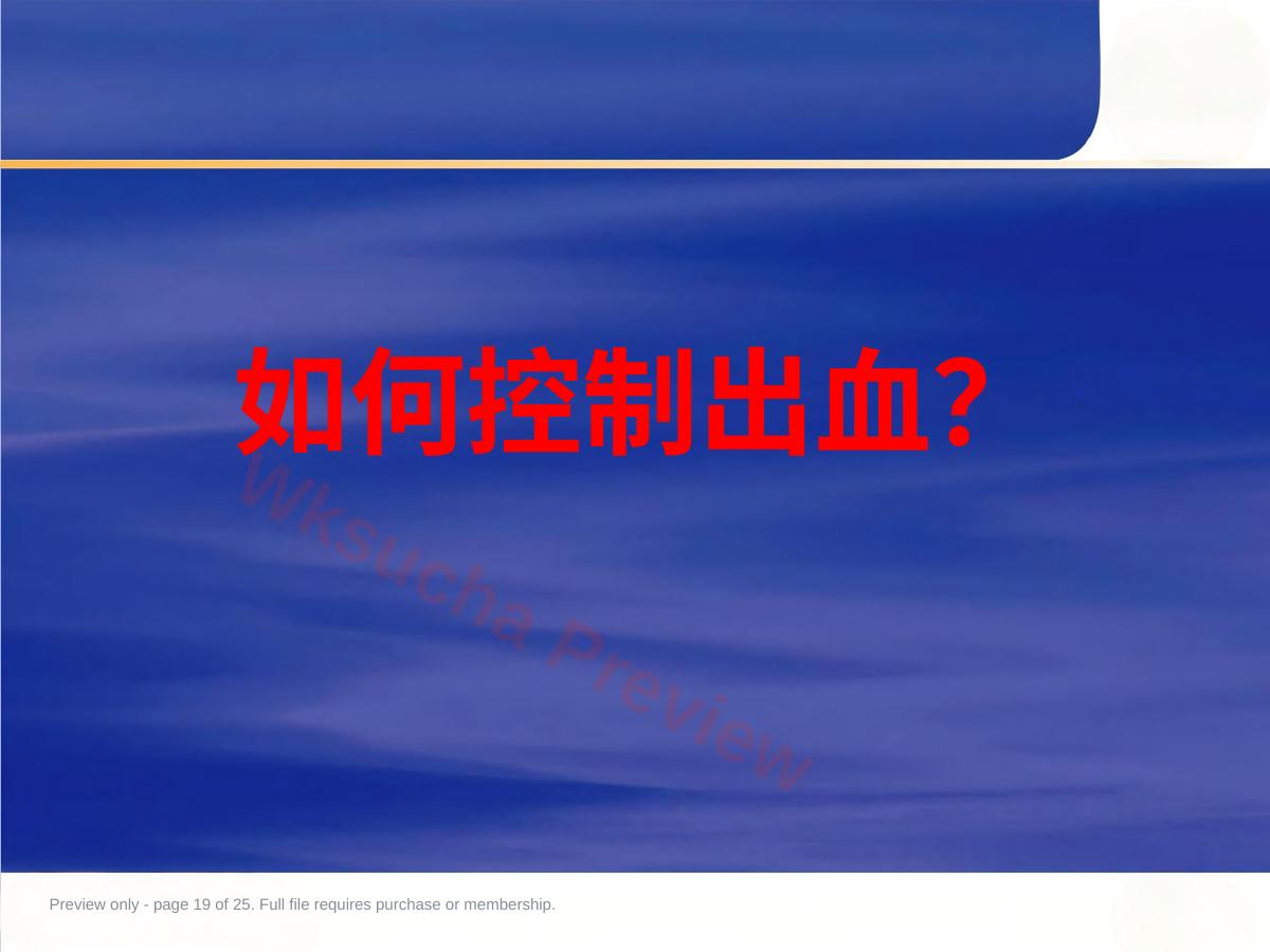 预览第 19 页