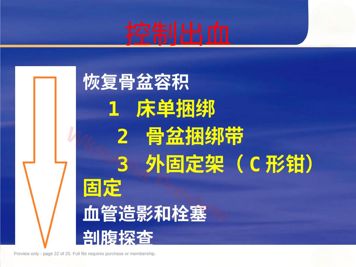 预览第 22 页