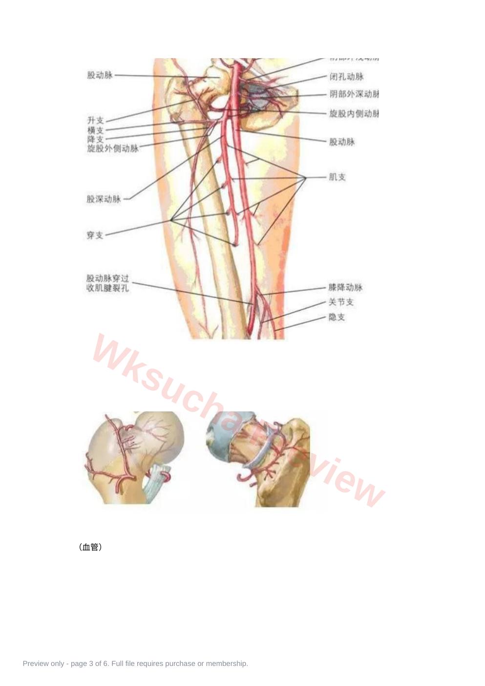 预览第 3 页