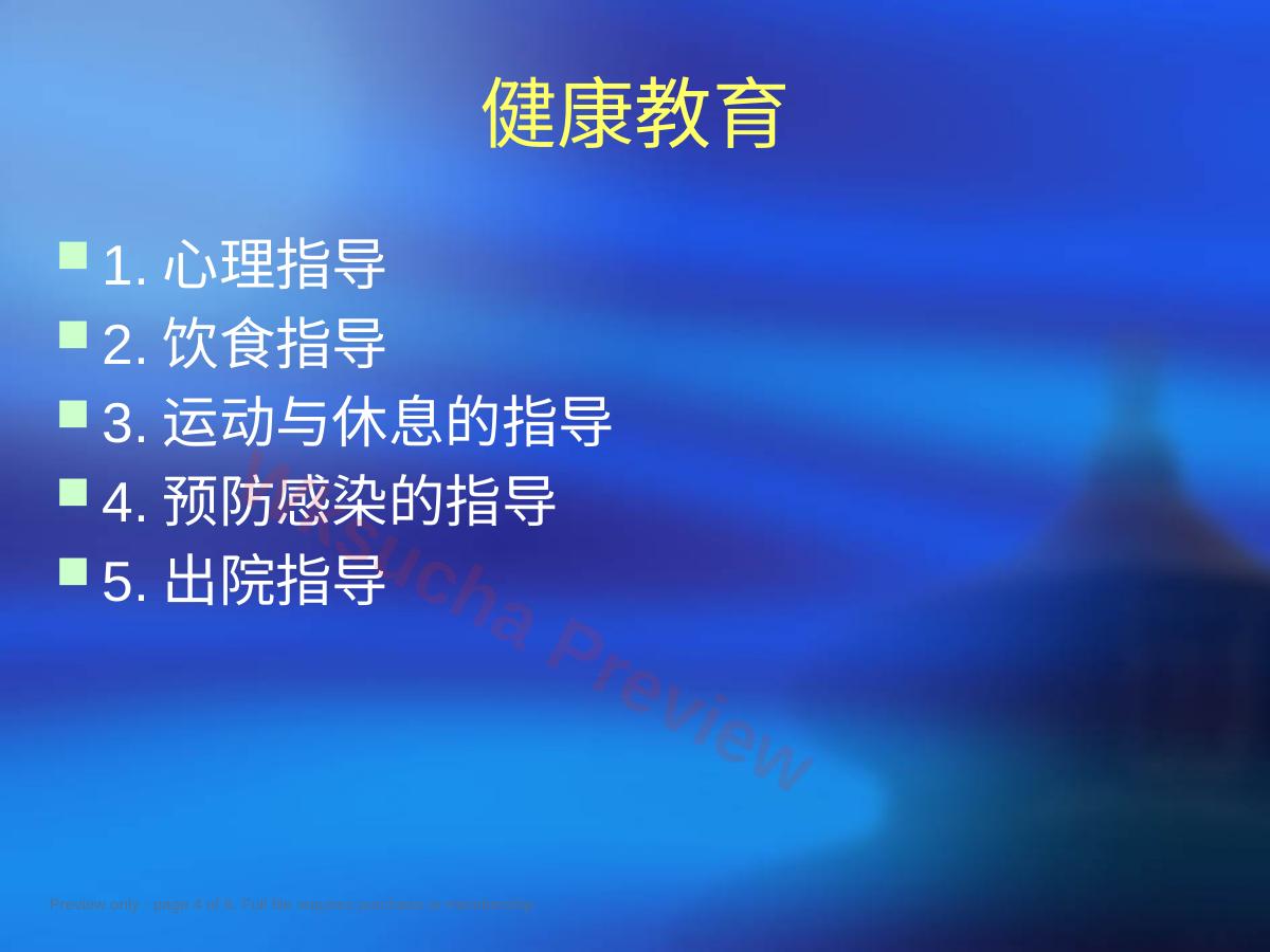 预览第 4 页