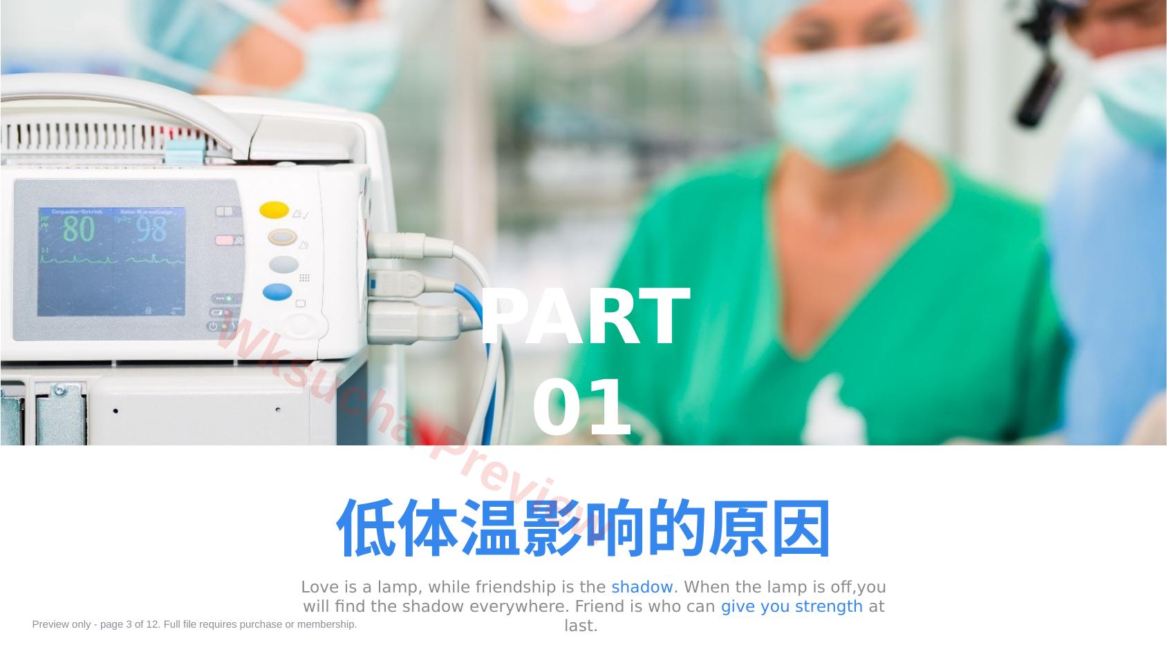 预览第 3 页