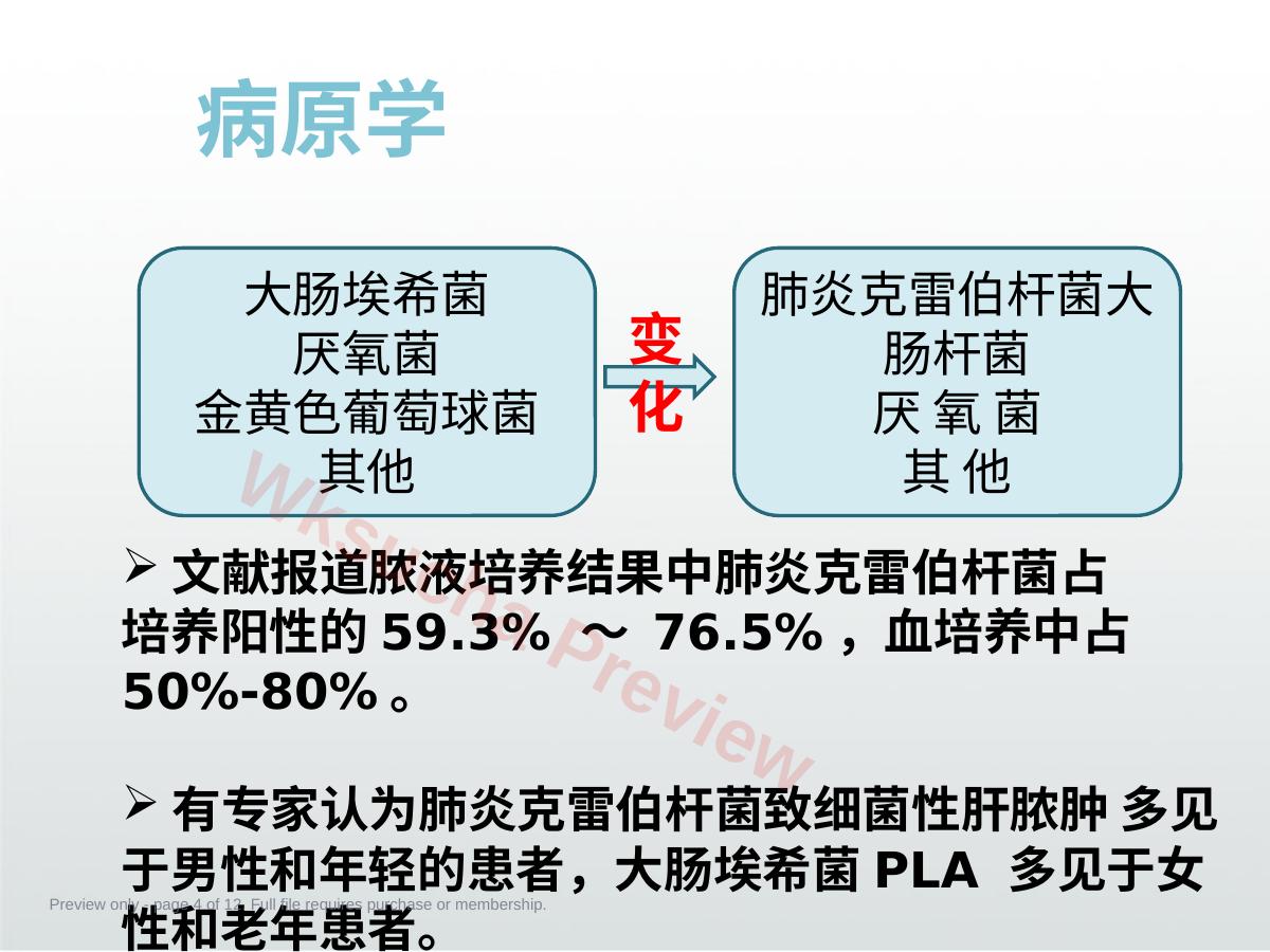 预览第 4 页