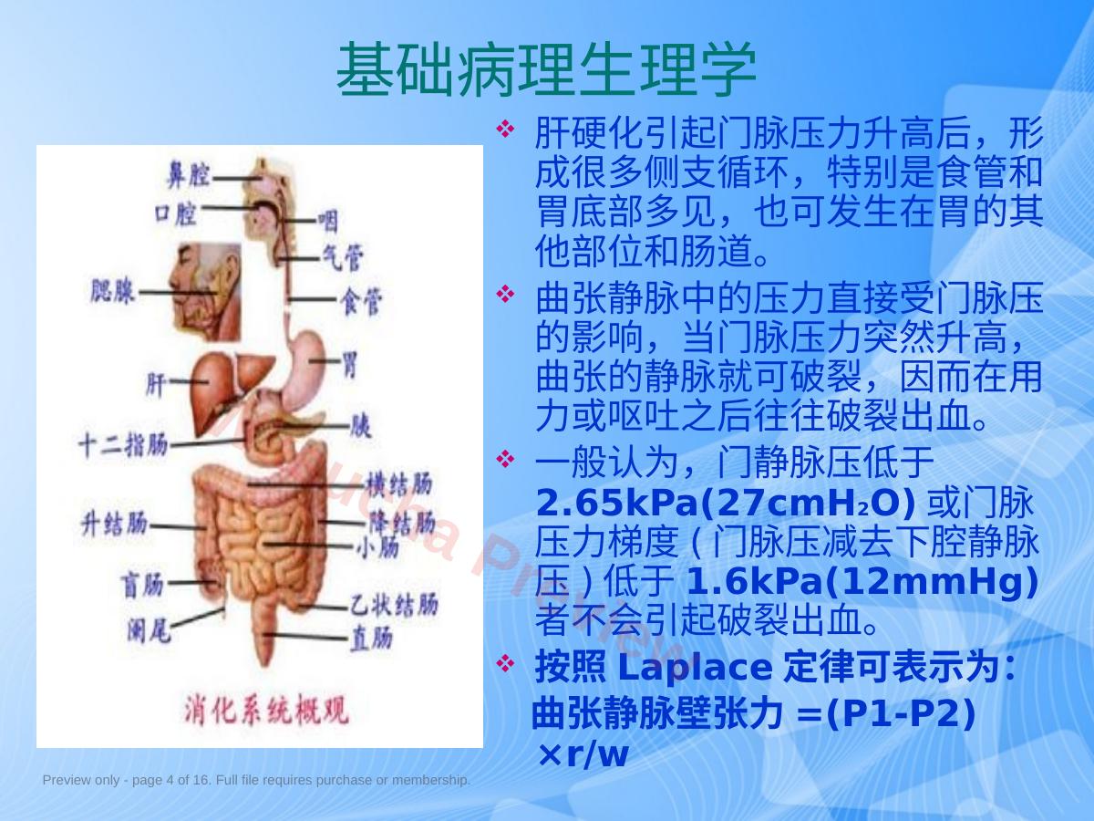 预览第 4 页