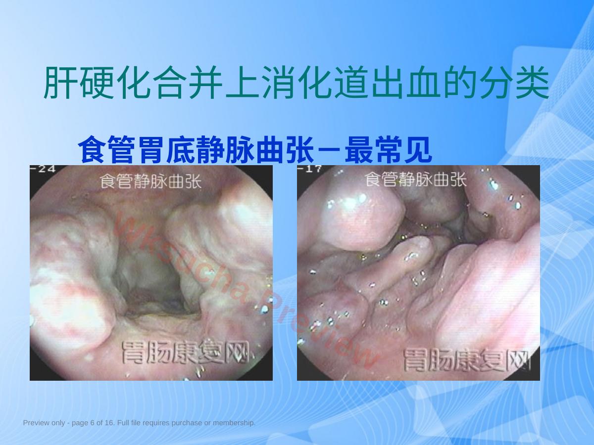 预览第 6 页