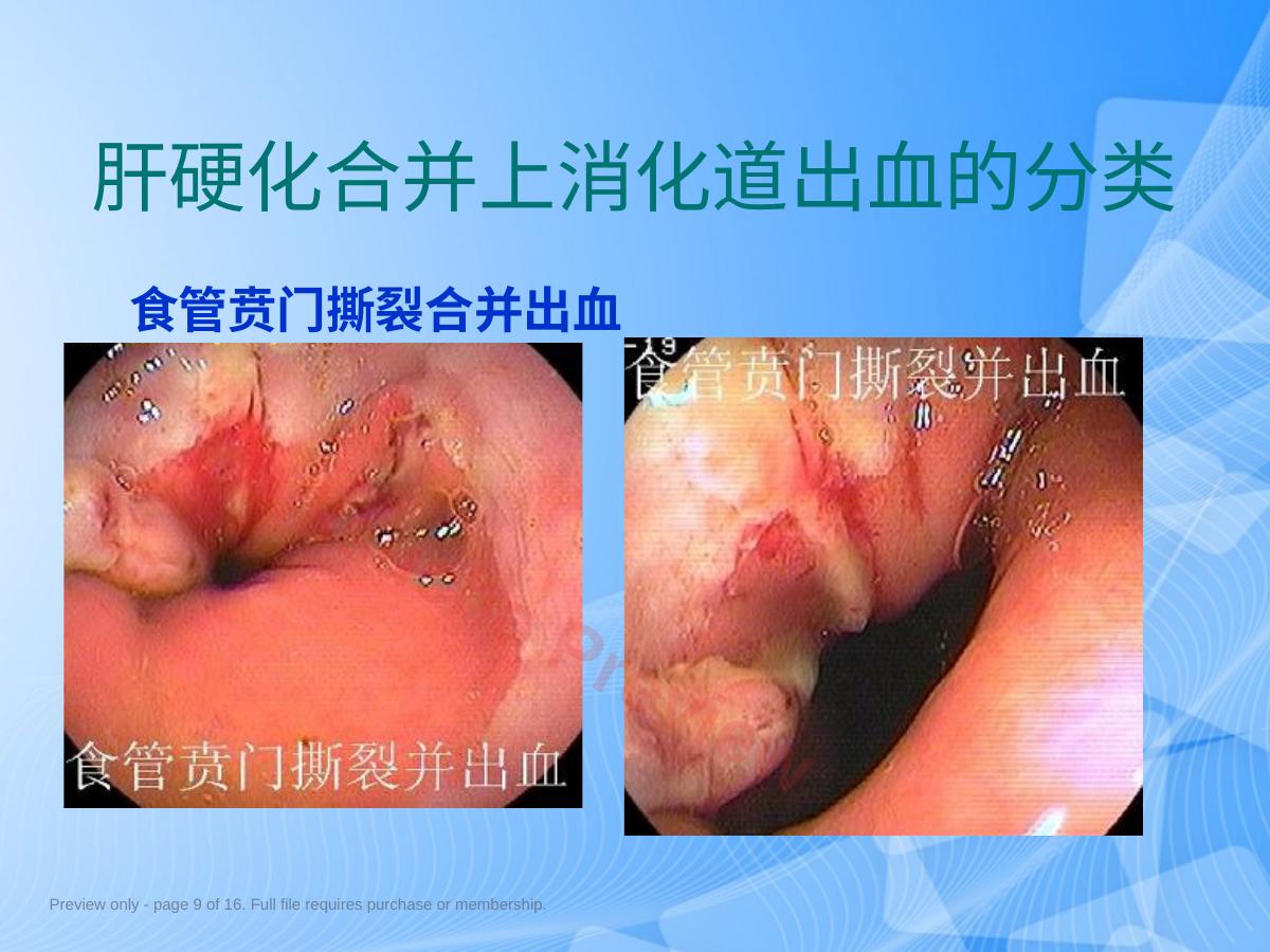 预览第 9 页