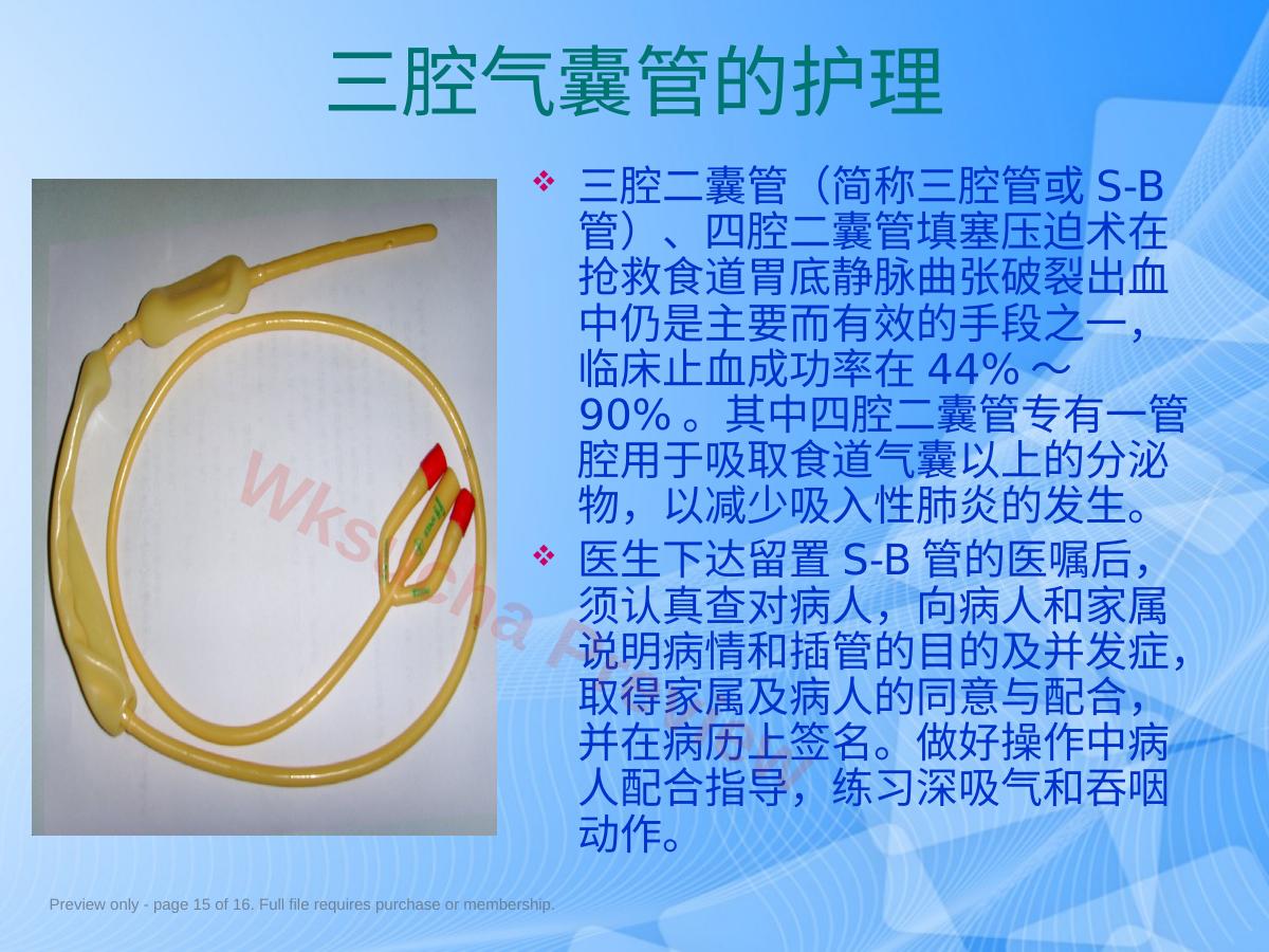 预览第 15 页