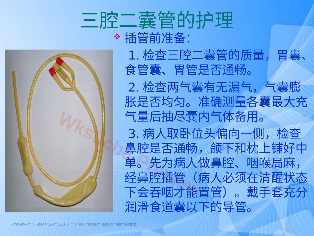 预览第 16 页