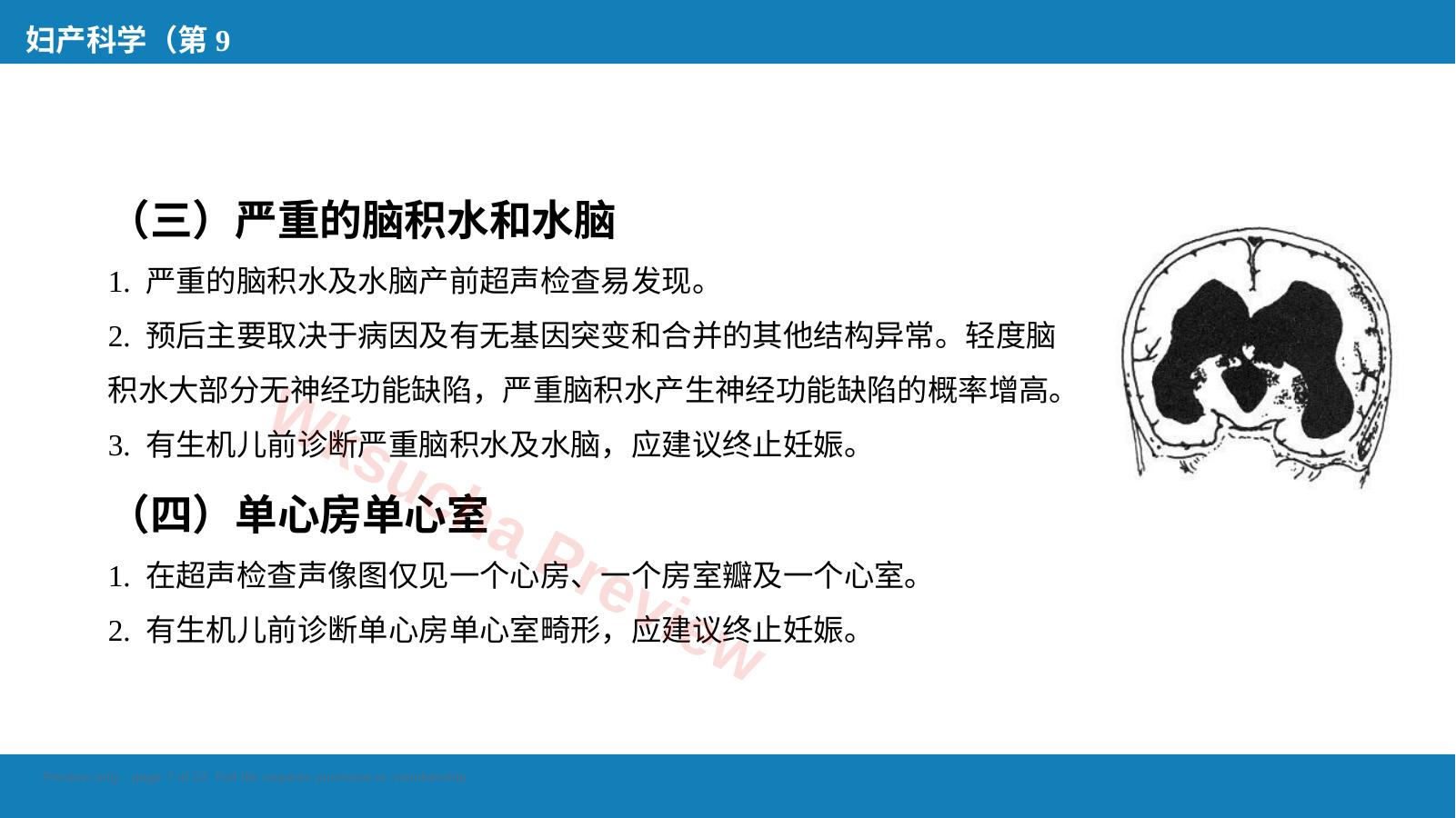 预览第 7 页
