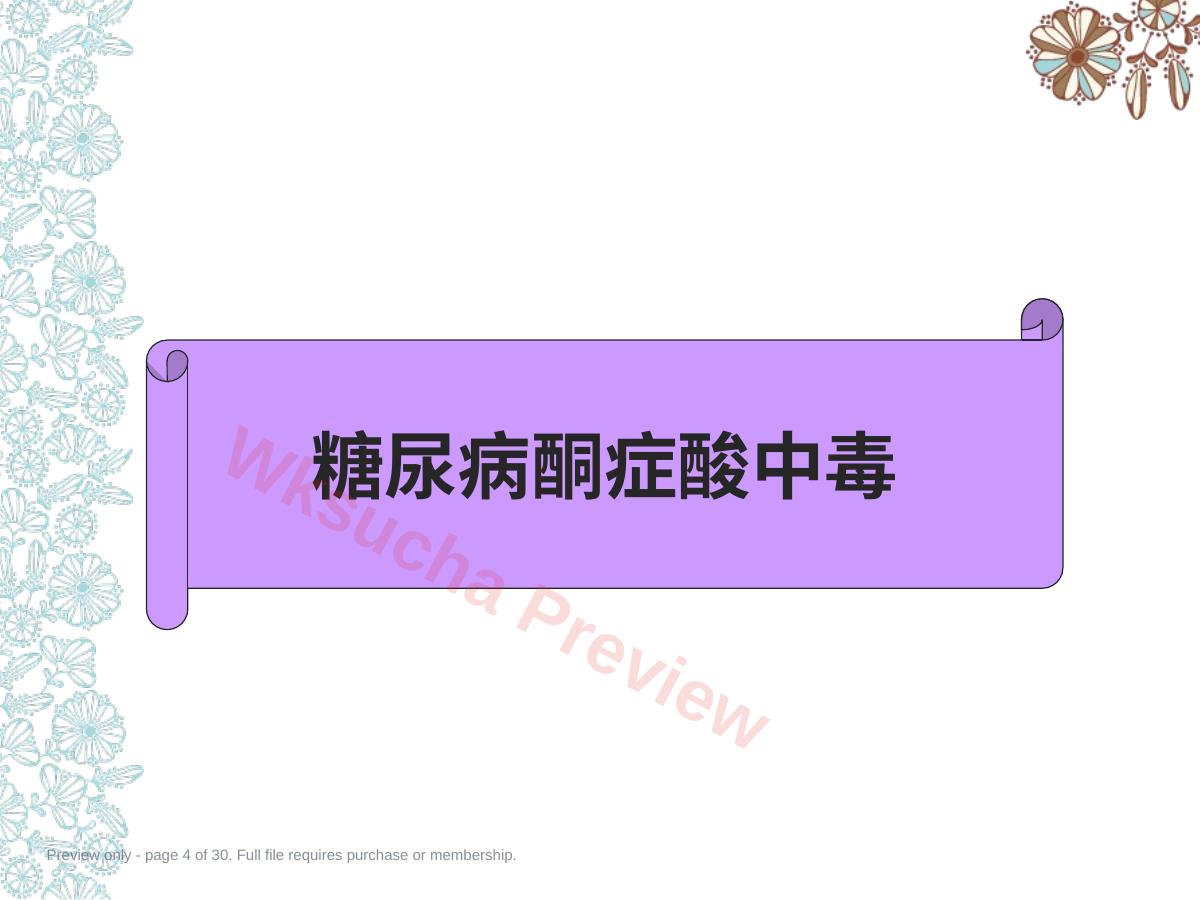 预览第 4 页