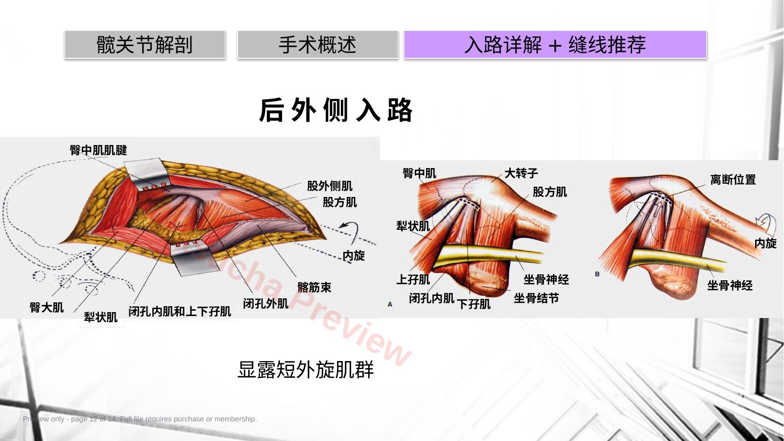 预览第 12 页