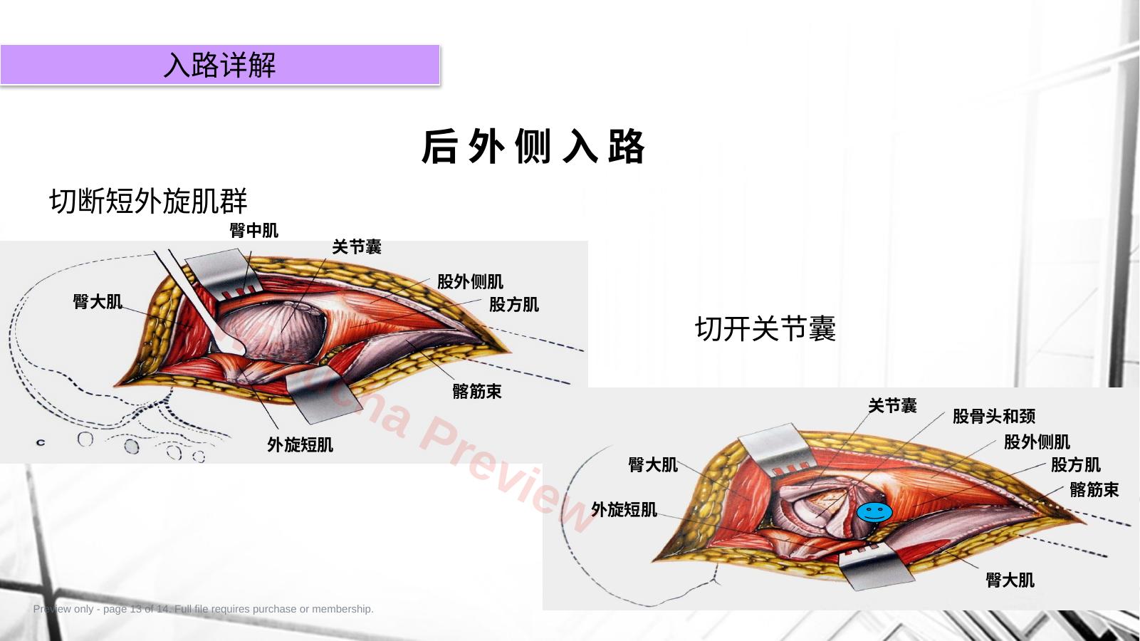 预览第 13 页