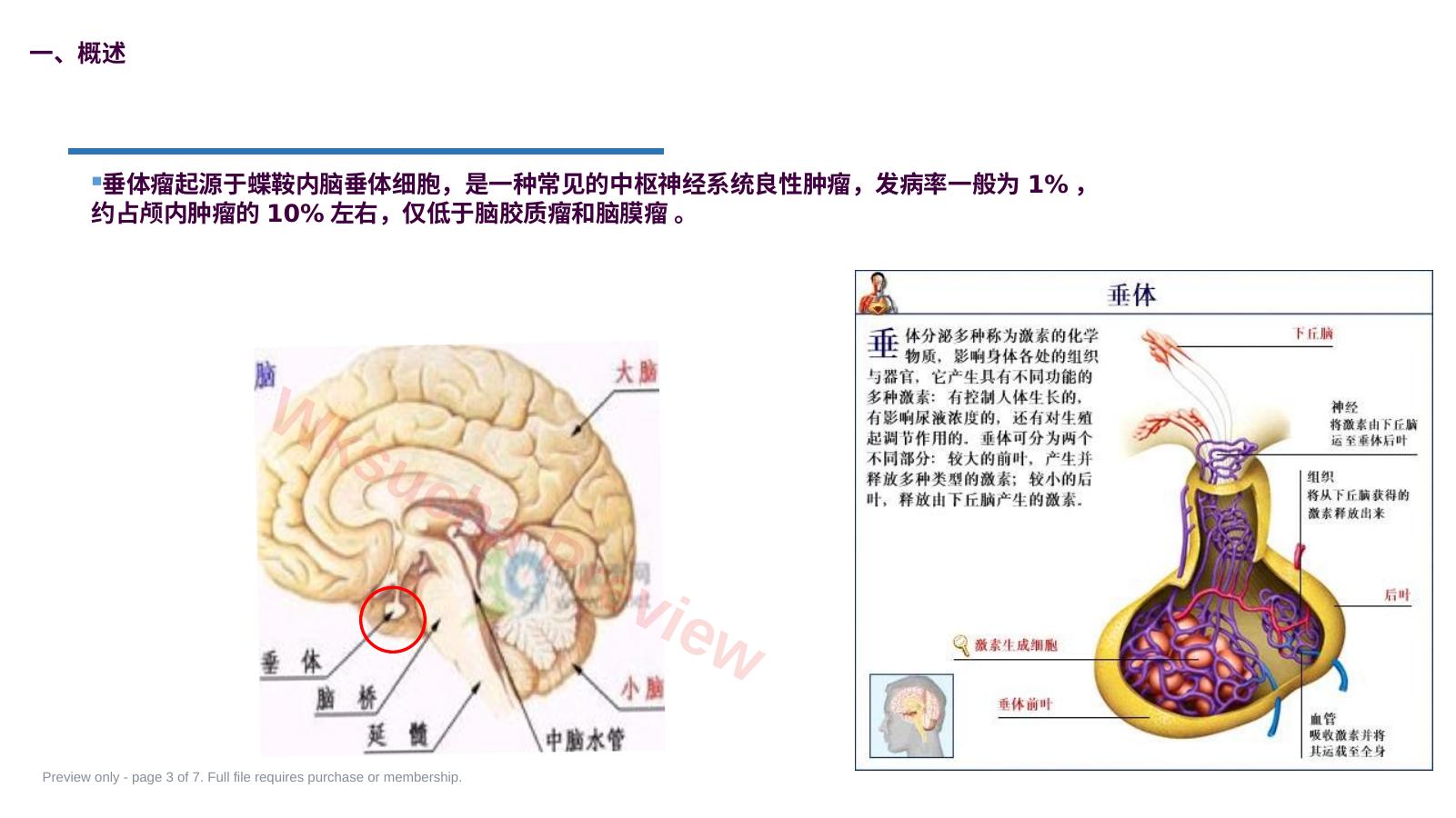预览第 3 页