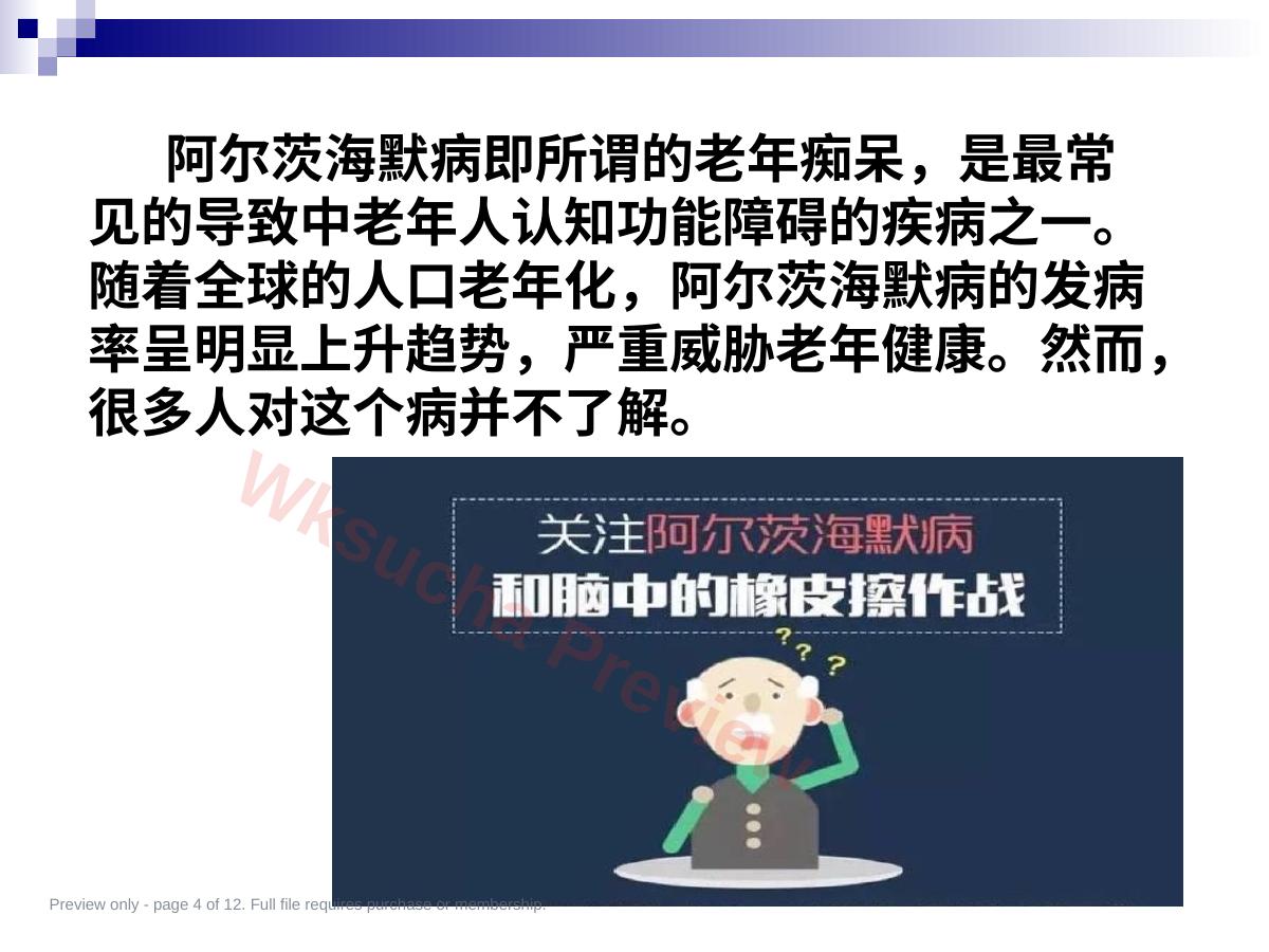 预览第 4 页