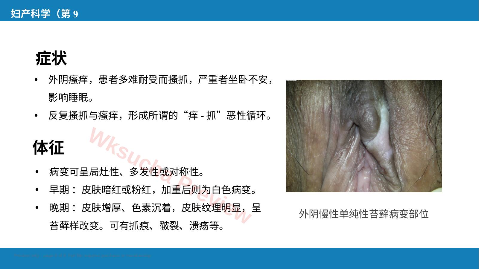 预览第 8 页