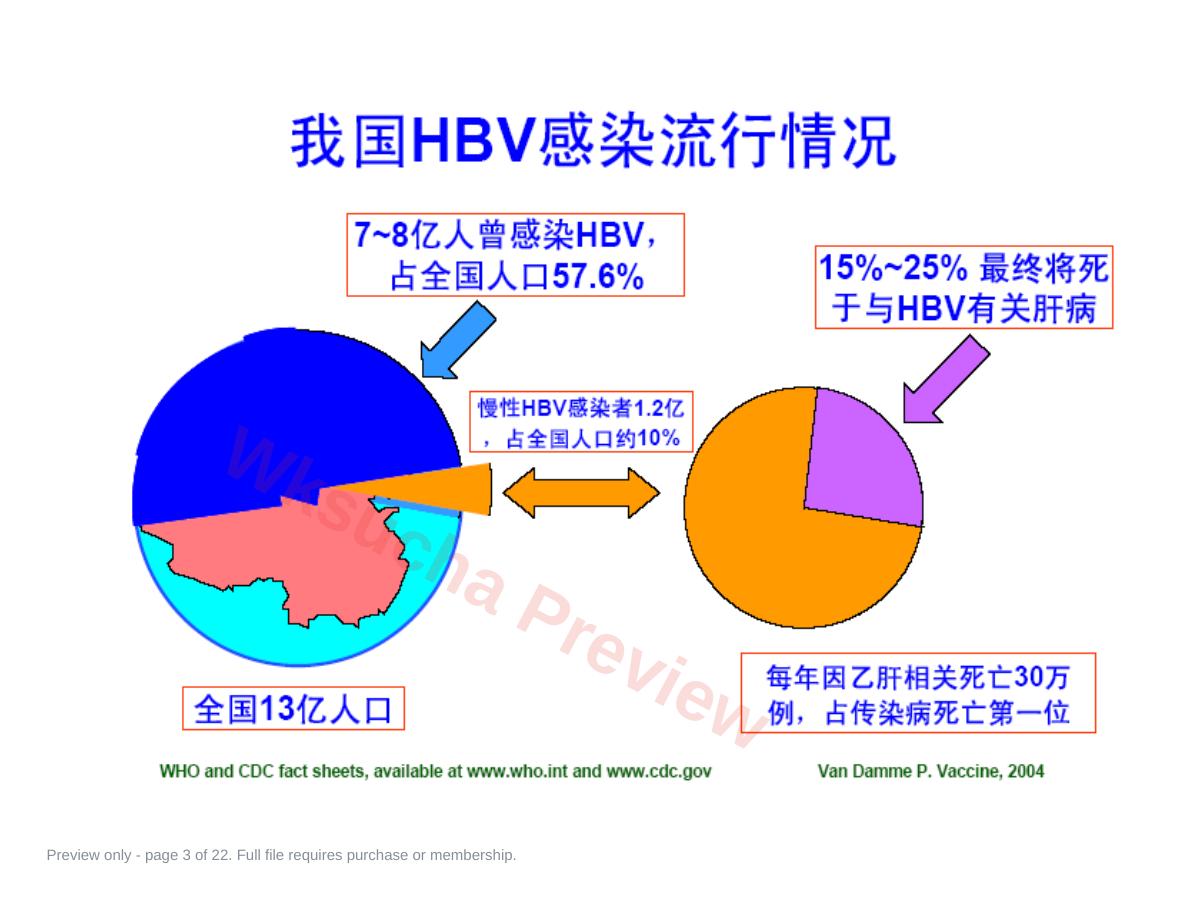 预览第 3 页