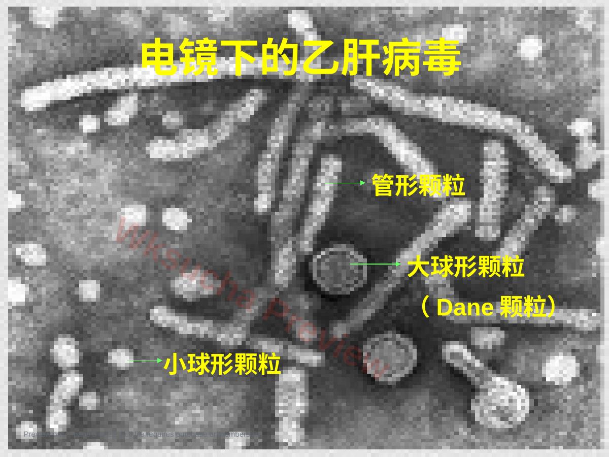 预览第 5 页