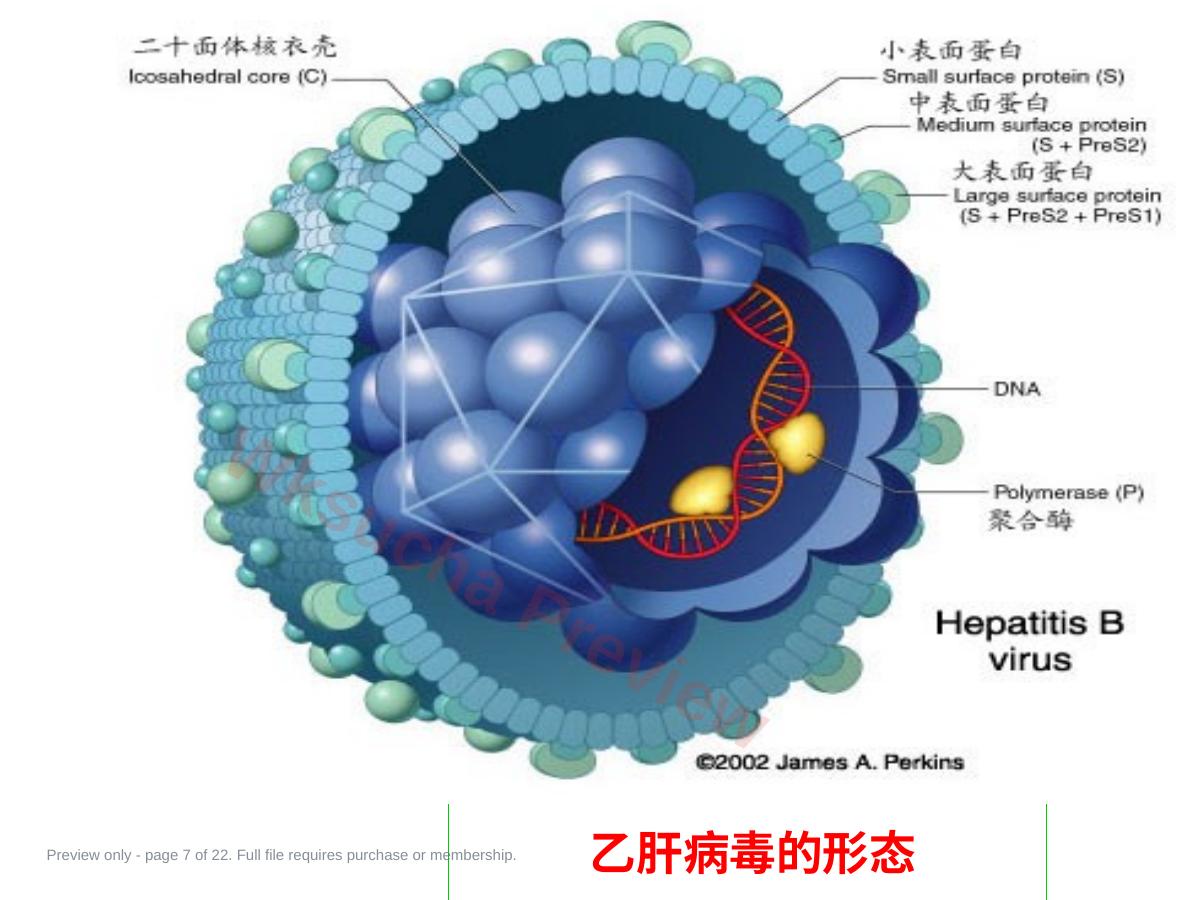 预览第 7 页