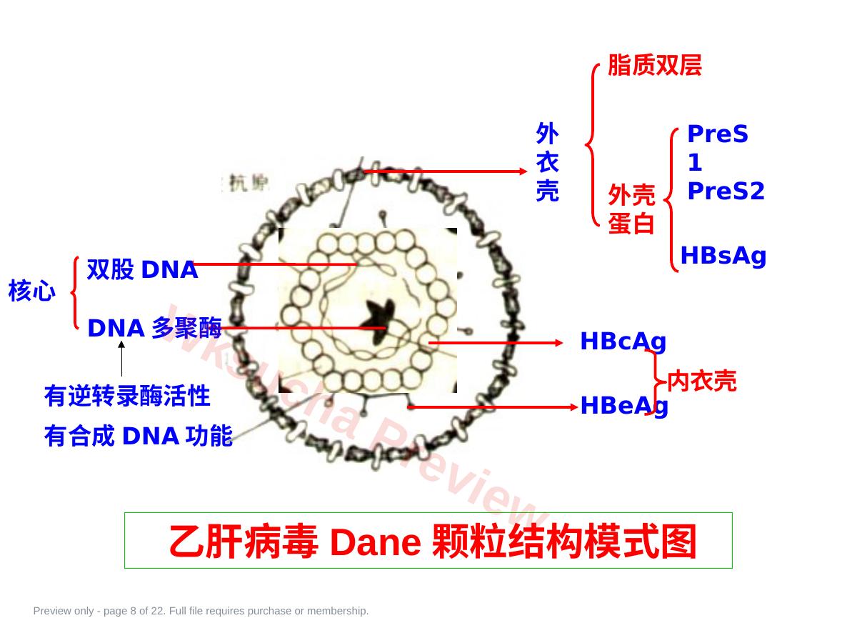 预览第 8 页
