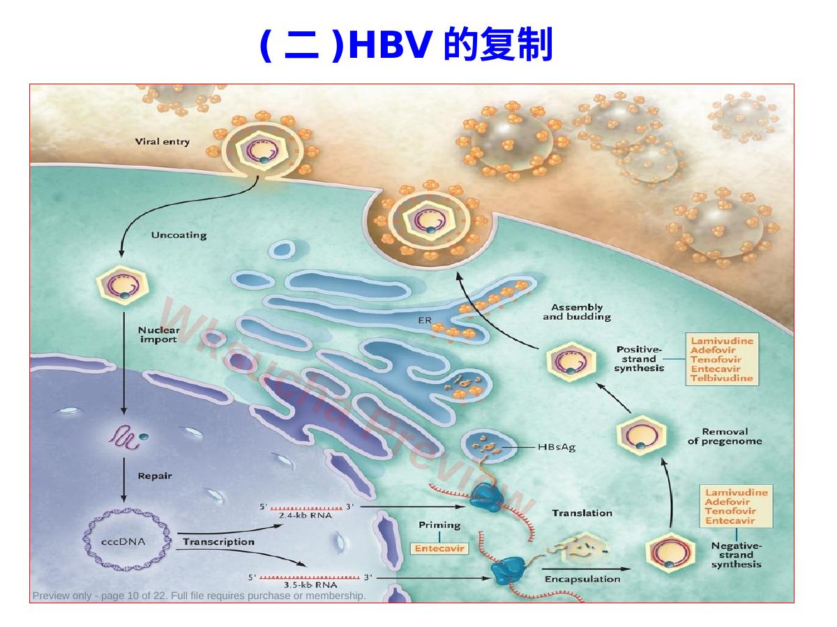 预览第 10 页
