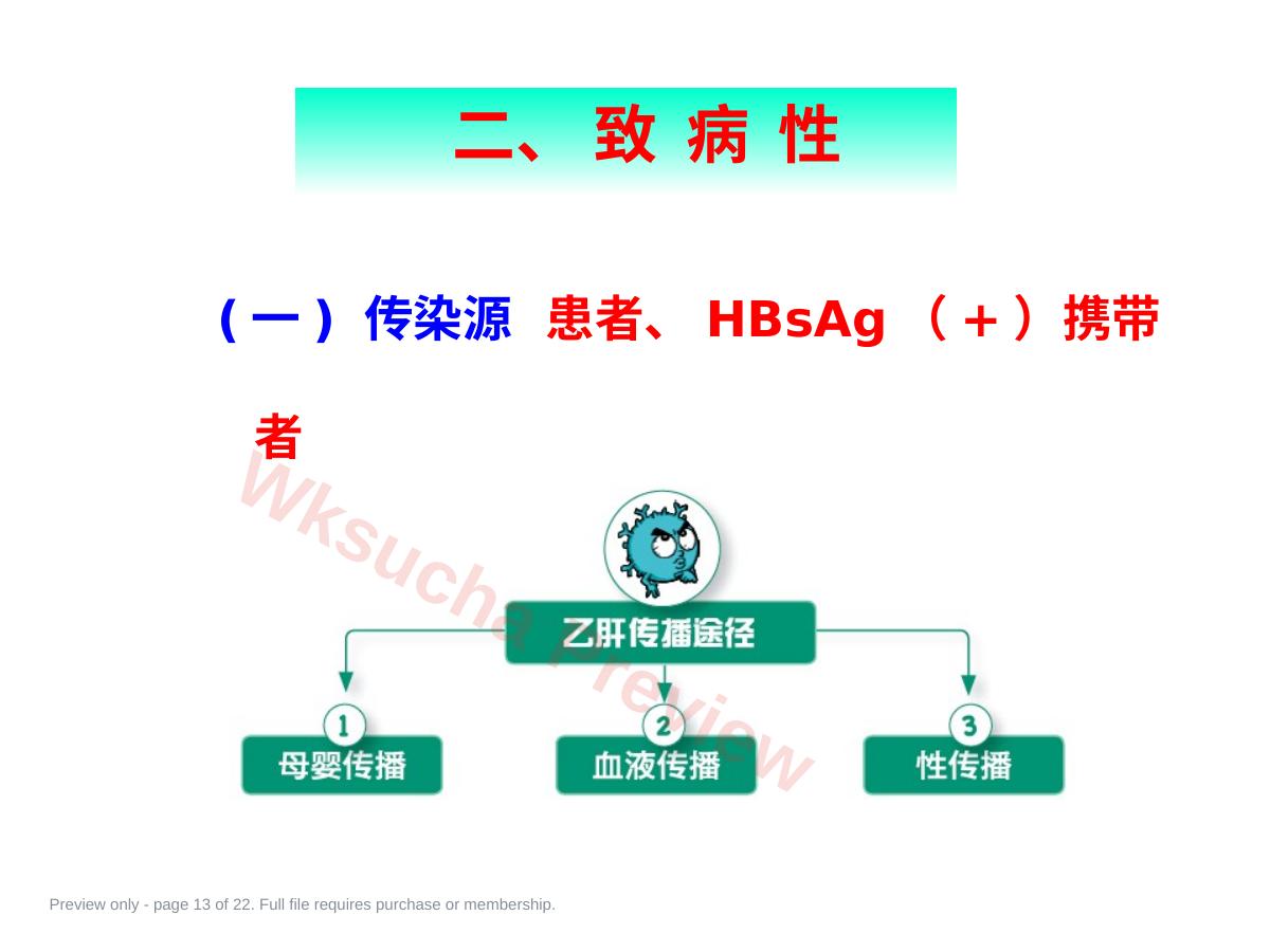 预览第 13 页