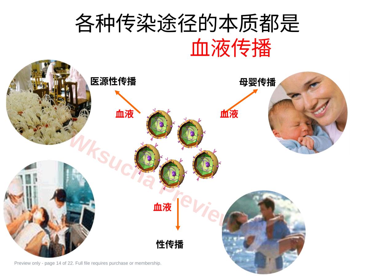 预览第 14 页