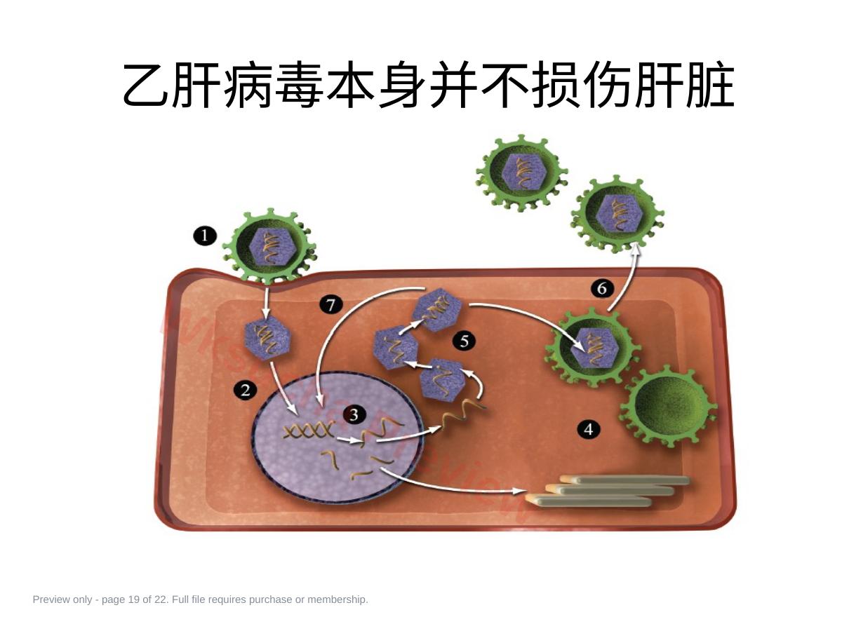 预览第 19 页