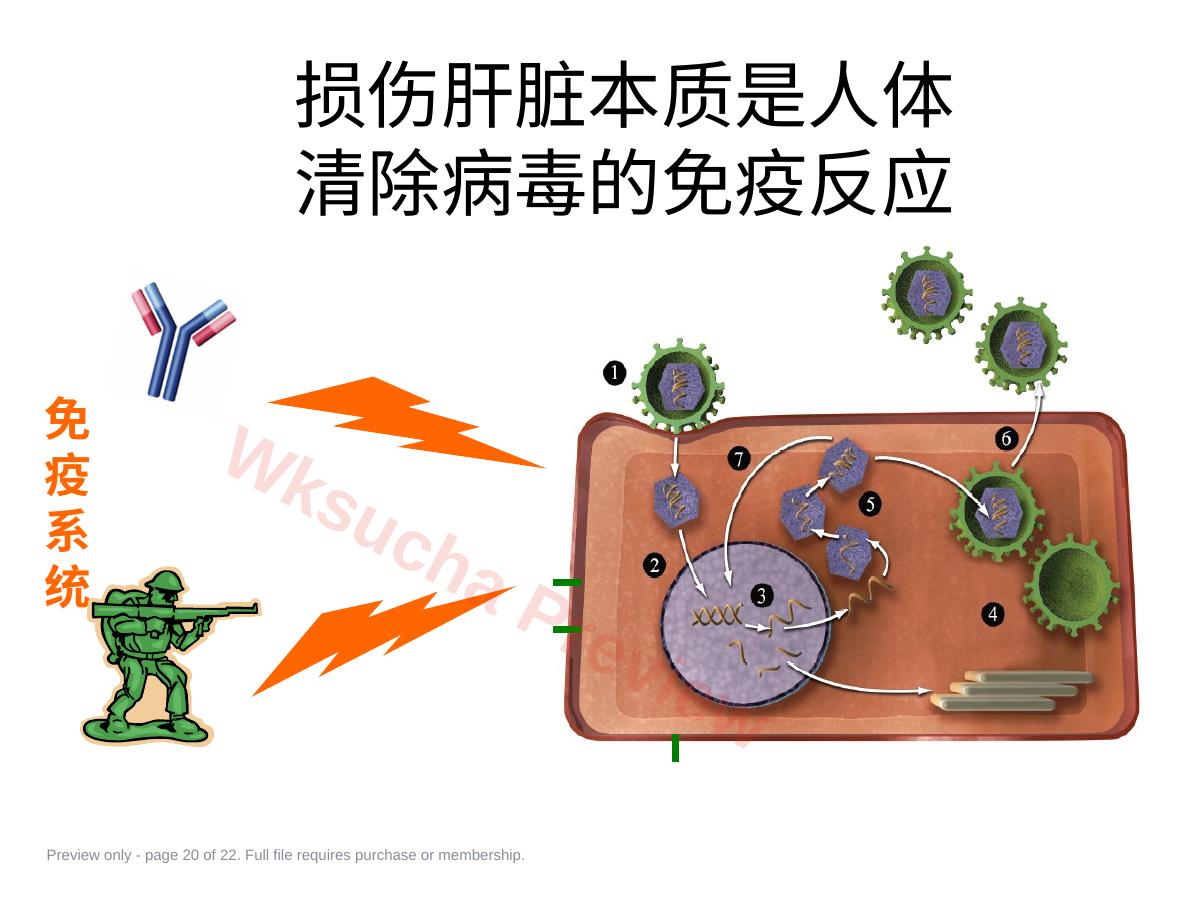 预览第 20 页