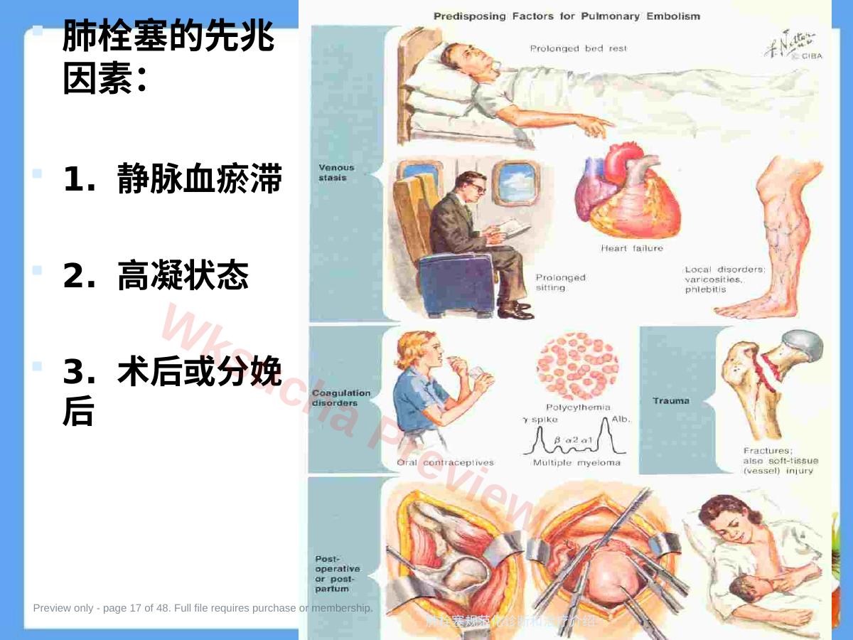 预览第 17 页