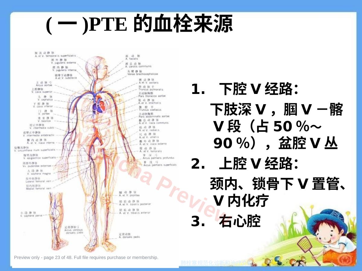 预览第 23 页