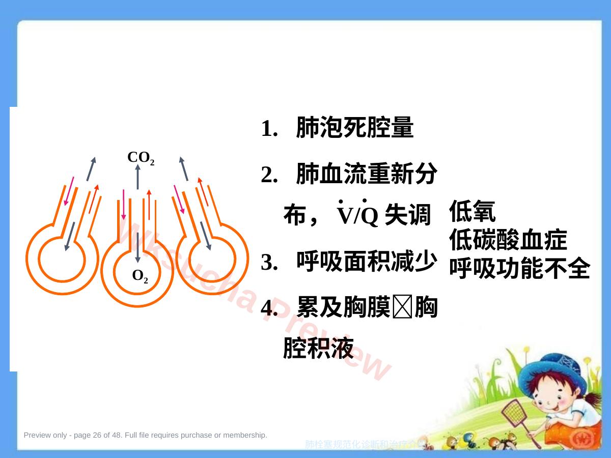 预览第 26 页