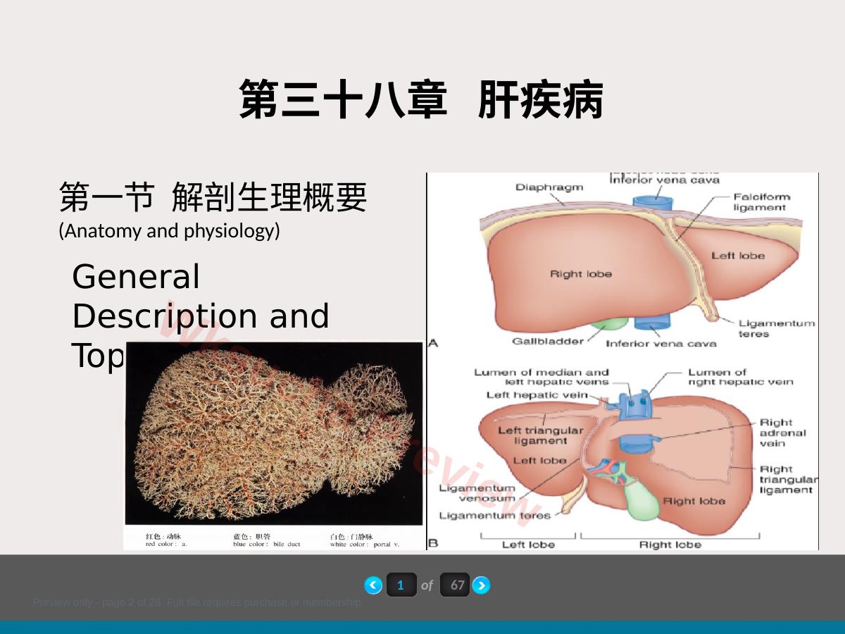 预览第 2 页