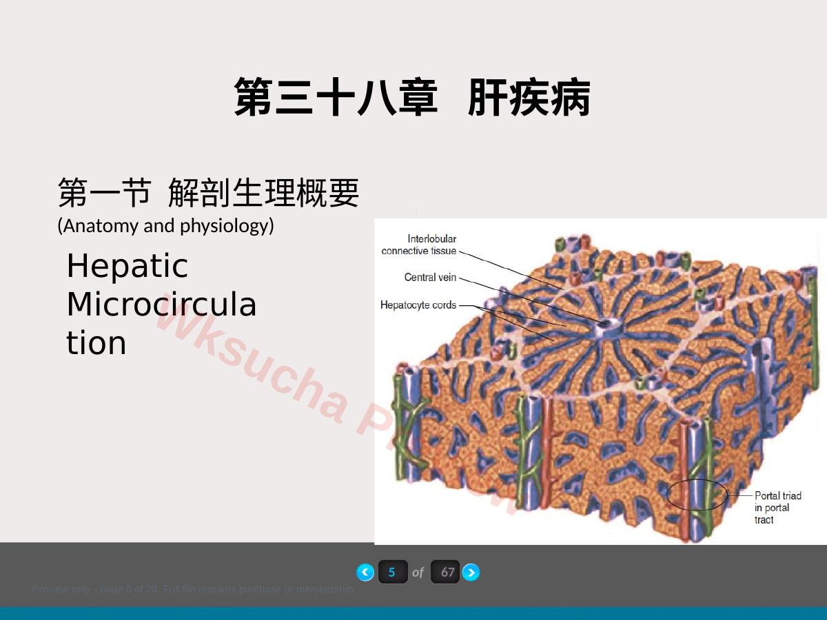 预览第 6 页