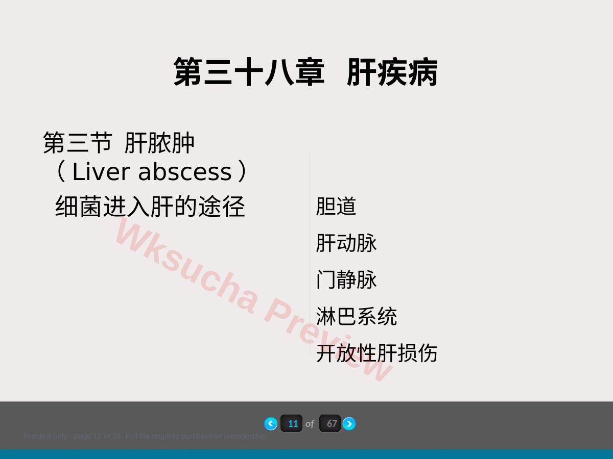 预览第 12 页