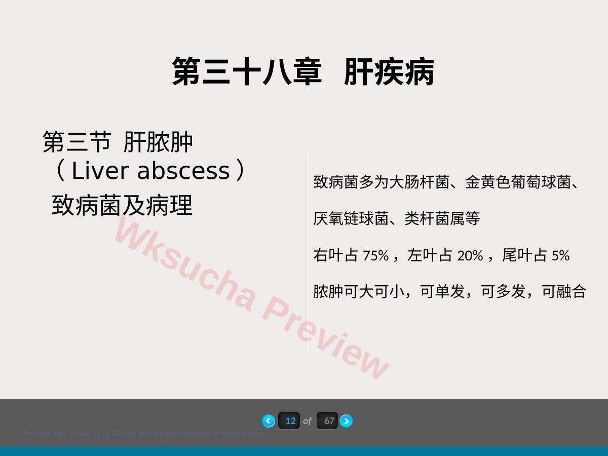 预览第 13 页