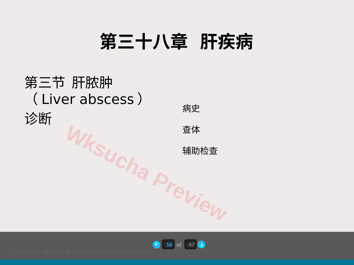 预览第 17 页