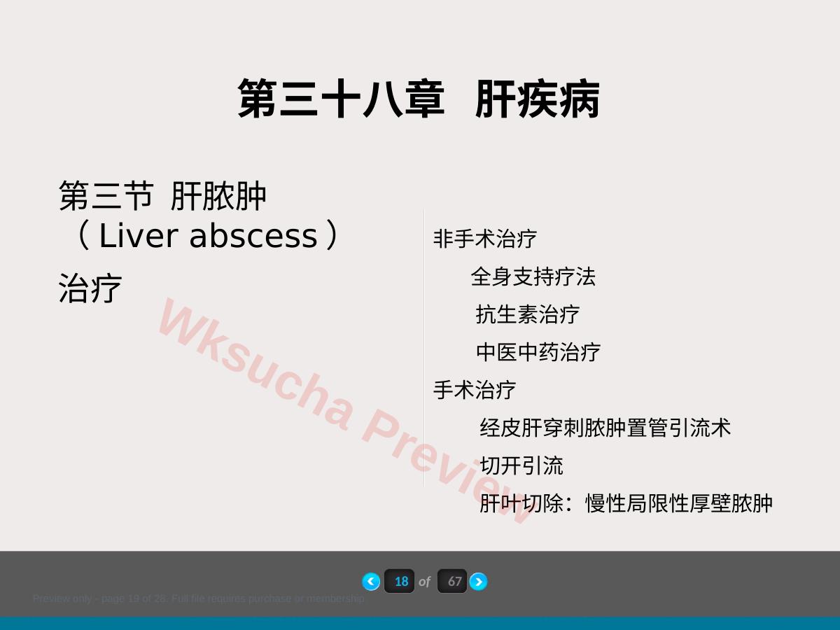 预览第 19 页