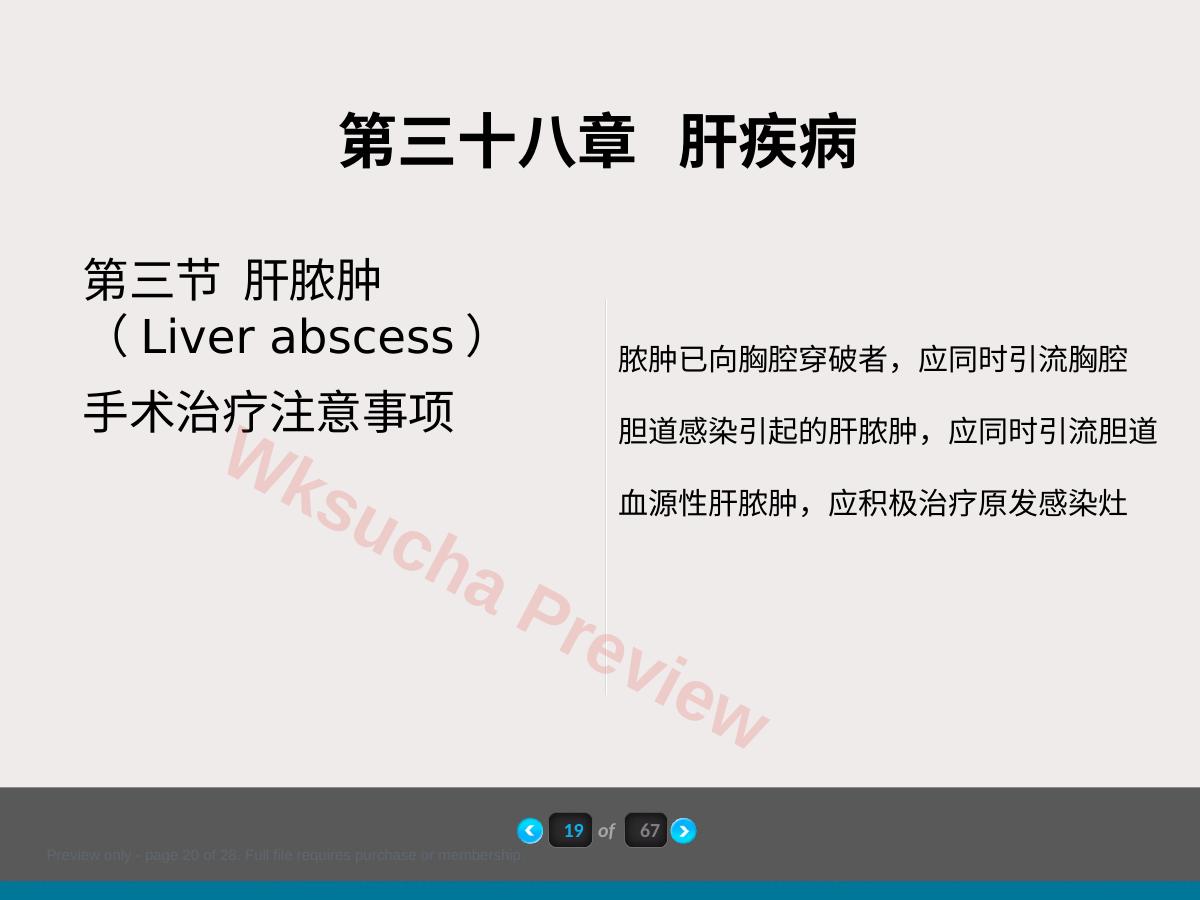 预览第 20 页